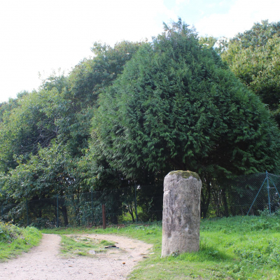 Jose Manuel Lago Carrera