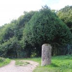 Jose Manuel Lago Carrera