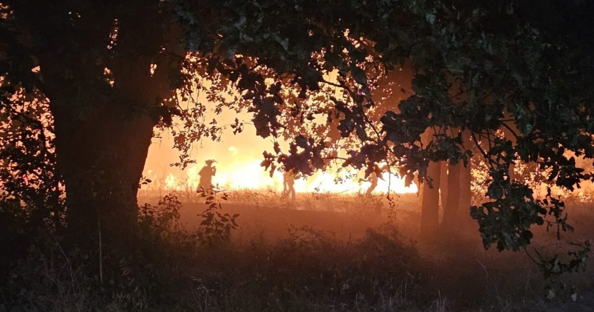 Caso Oímbra: á procura da orde da roza que provocou o segundo maior incendio da historia de Galicia - Praza Pública