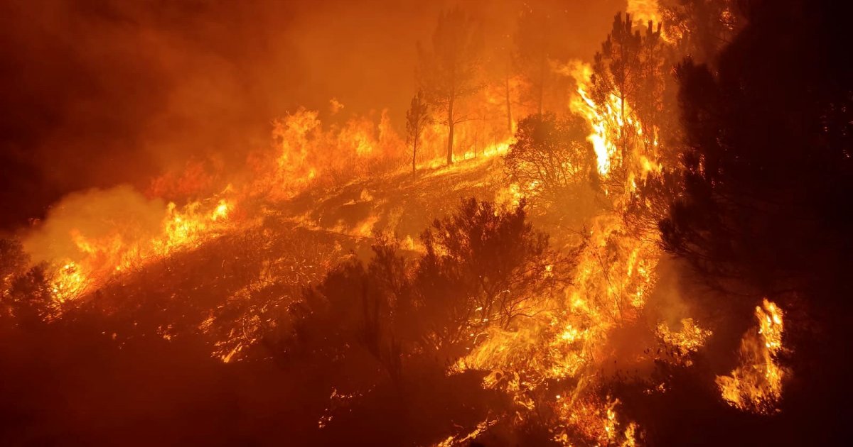Fálase de Un incendio fore... - Praza Pública - Vimarsana News
